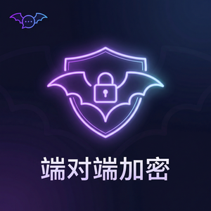 蝙蝠聊天 - 蝙蝠聊天软件第三方安全审计情况